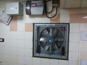 Wall Mounted Exhaust Fan