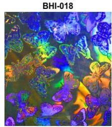 Butterfly Holographic Film
