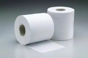 Recycled Toilet Paper Roll