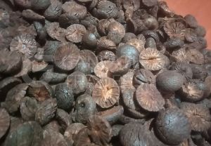 Split Boiled Betel Nuts