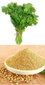 coriander leaf powder