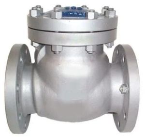 Check Valve