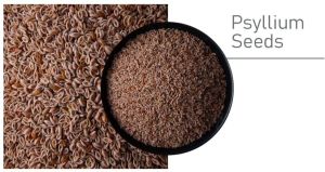 psyllium seeds
