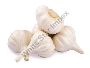A Grade White Fresh Garlic