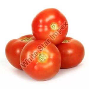 Red Fresh Tomato