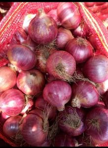 Fresh Red Onion