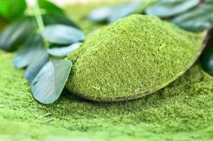 organic moringa powder