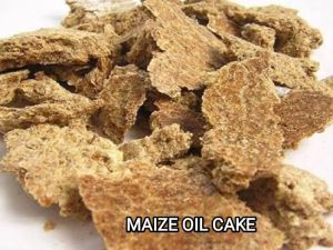 Maize Oil Cake