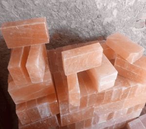 Himalayan Salt Bricks