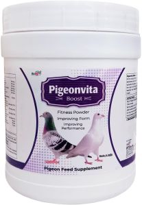 (Fitness Powder For Pigeons) (Pigeonvita Boos 500 Gm.)