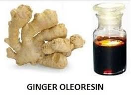 Ginger Oleoresin Oil