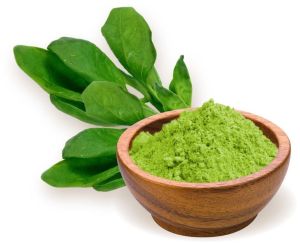 Dehydrated Spinach Leaves Powder