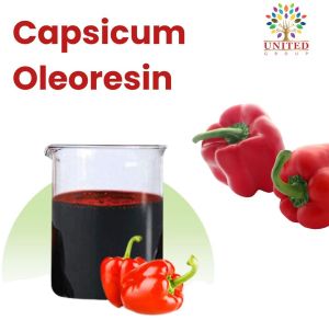 oleoresin capsicum