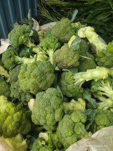 fresh broccoli