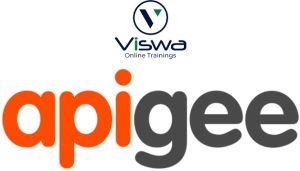 apigee professional certification training