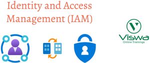 identity access management online training