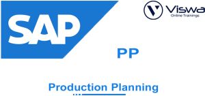 Best SAP S/4 HANA PP Training Institute Certification From India