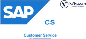 sap cs online training institute