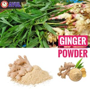 Masala Powder