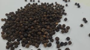 Black Pepper Seed