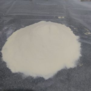 Skimmed Milk Powder