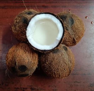 Husked Coconut