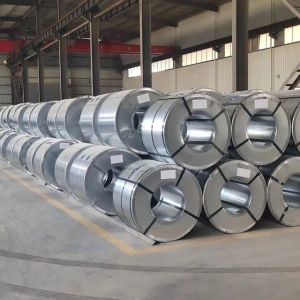 Stainless Steel Hot Rolled Coil