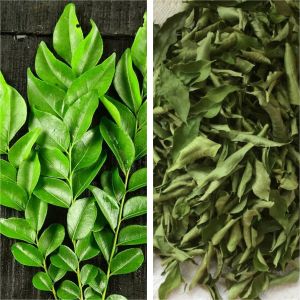 Organic Curry Leaves