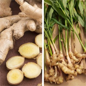 Organic Ginger