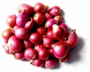 Red Baby Onion