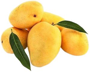 Fresh Safeda Mango