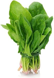Fresh Spinach Leaves
