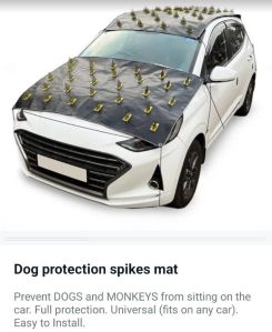 Dog Protection Car Cover