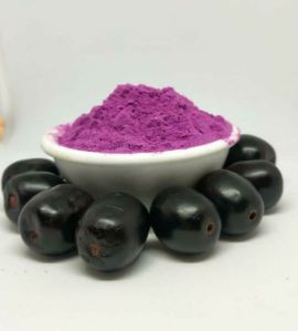 Spray Dried Jamun Powder