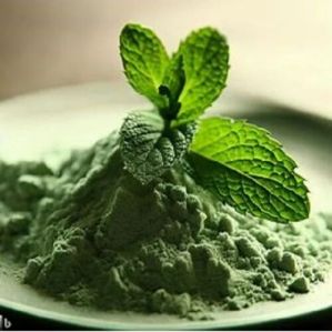 Spray Dried Mint Powder