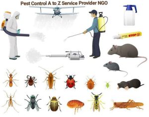 Red & Black Ants Control Services