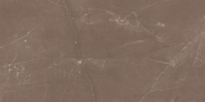 Castano Brown Matt Finish Glazed Vitrified Tile