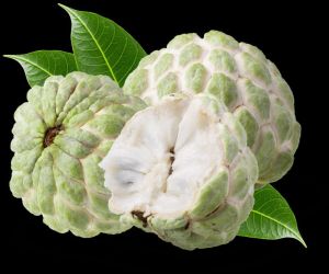 Sugar apple