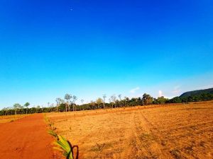 Farm Land, Near Bhogapuram