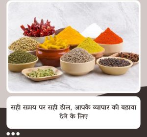 dry fruits and spices