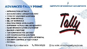 Tally Training Services