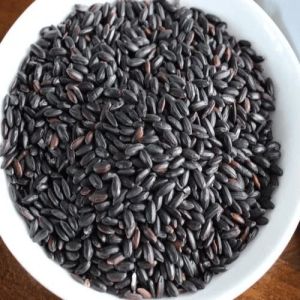 manipur black rice