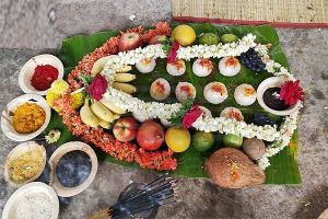 Narayana Bali Puja Service