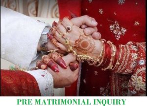 PRE MATRIMONIAL VERIFICATION SERVICES