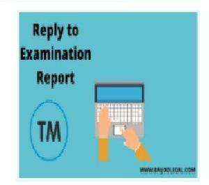 Trademark Objection Reply Services