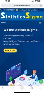 Statistical analysis services