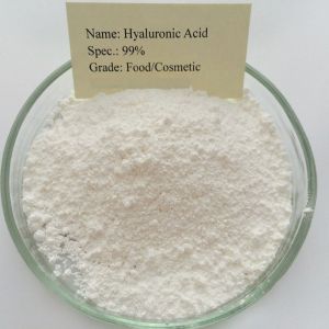 Hyaluronic Acid Powder