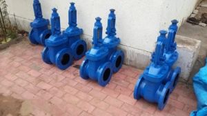 Cast Iron Gate Valve