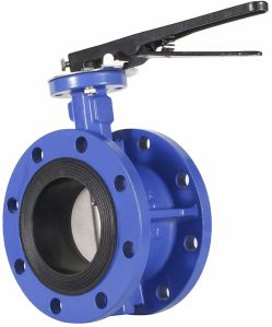 Double Flange Butterfly Valve