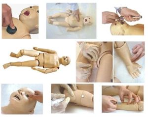 ACLS CPR Training Manikin